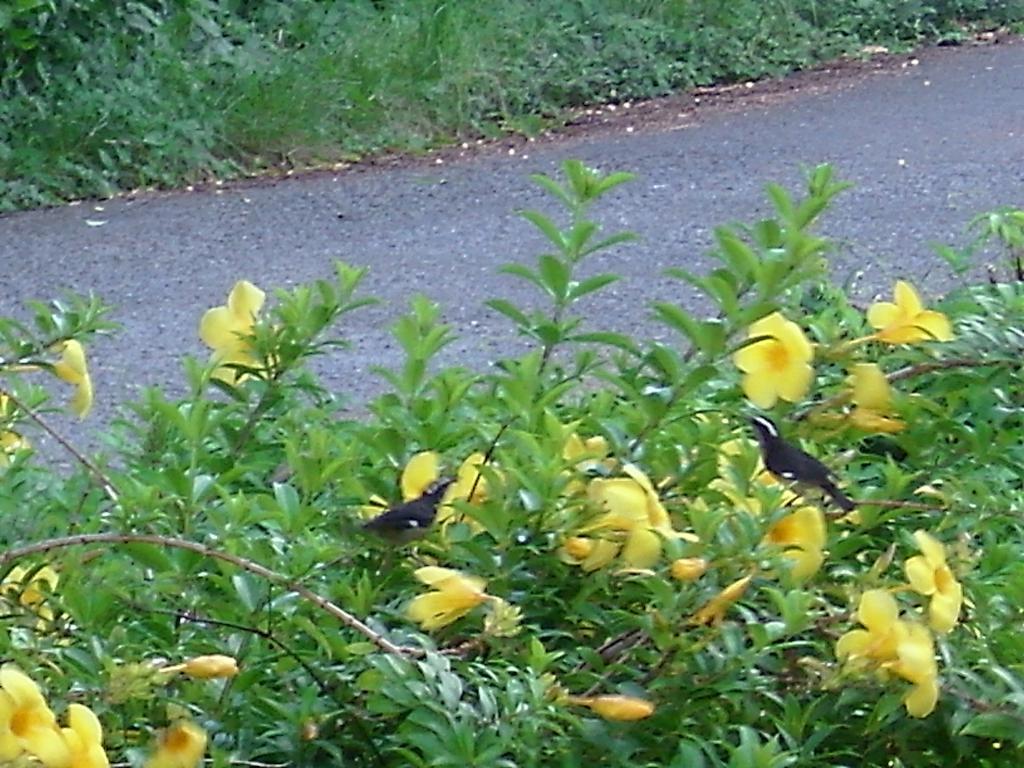 Native Abode Bed & Breakfast Bon Accord Village Bagian luar foto
